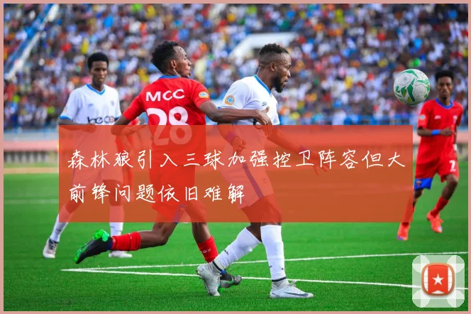 森林狼引入三球加强控卫阵容但大前锋问题依旧难解