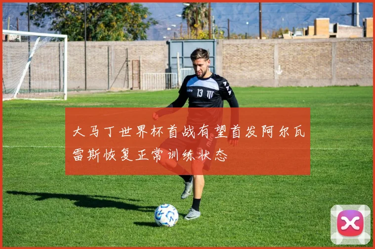 大马丁世界杯首战有望首发阿尔瓦雷斯恢复正常训练状态